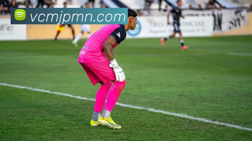 体育数据展示